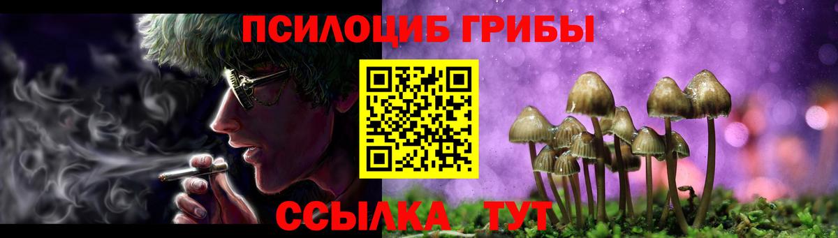 Псилоцибиновые грибы Psilocybe Владивосток